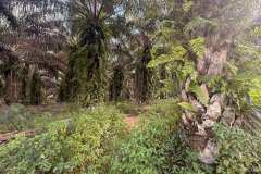 PHOTO-2025-12-18-11-06-45